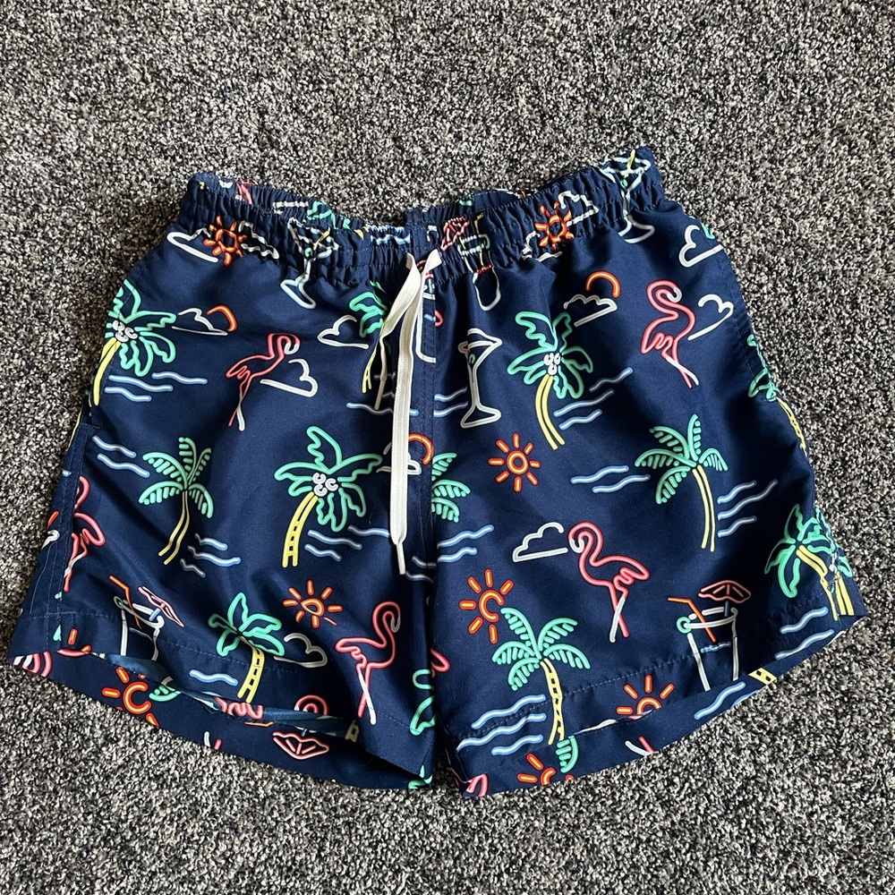Chubbies bathing suit